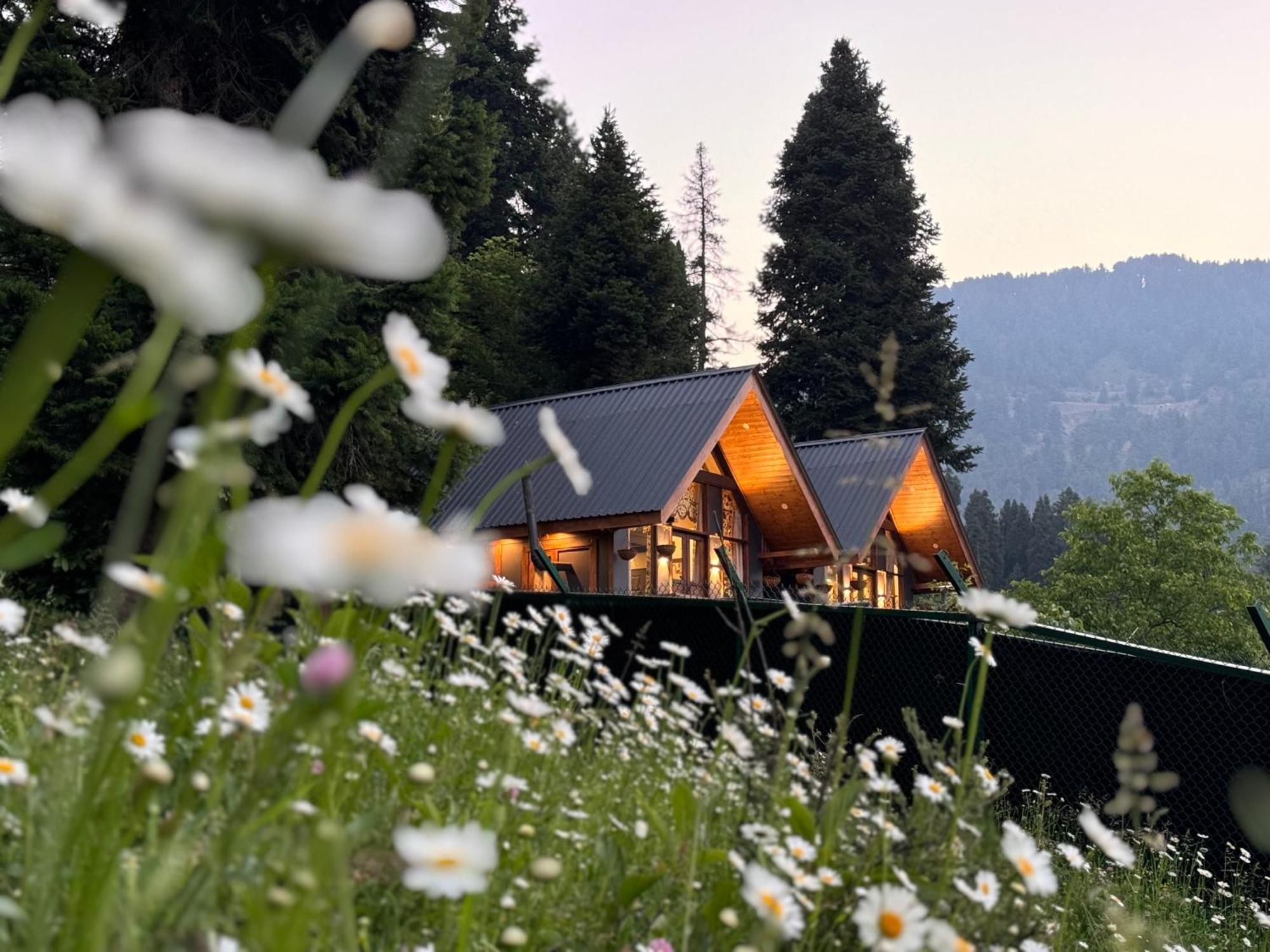 Vila Solomons Gray Tangmarg Exteriér fotografie